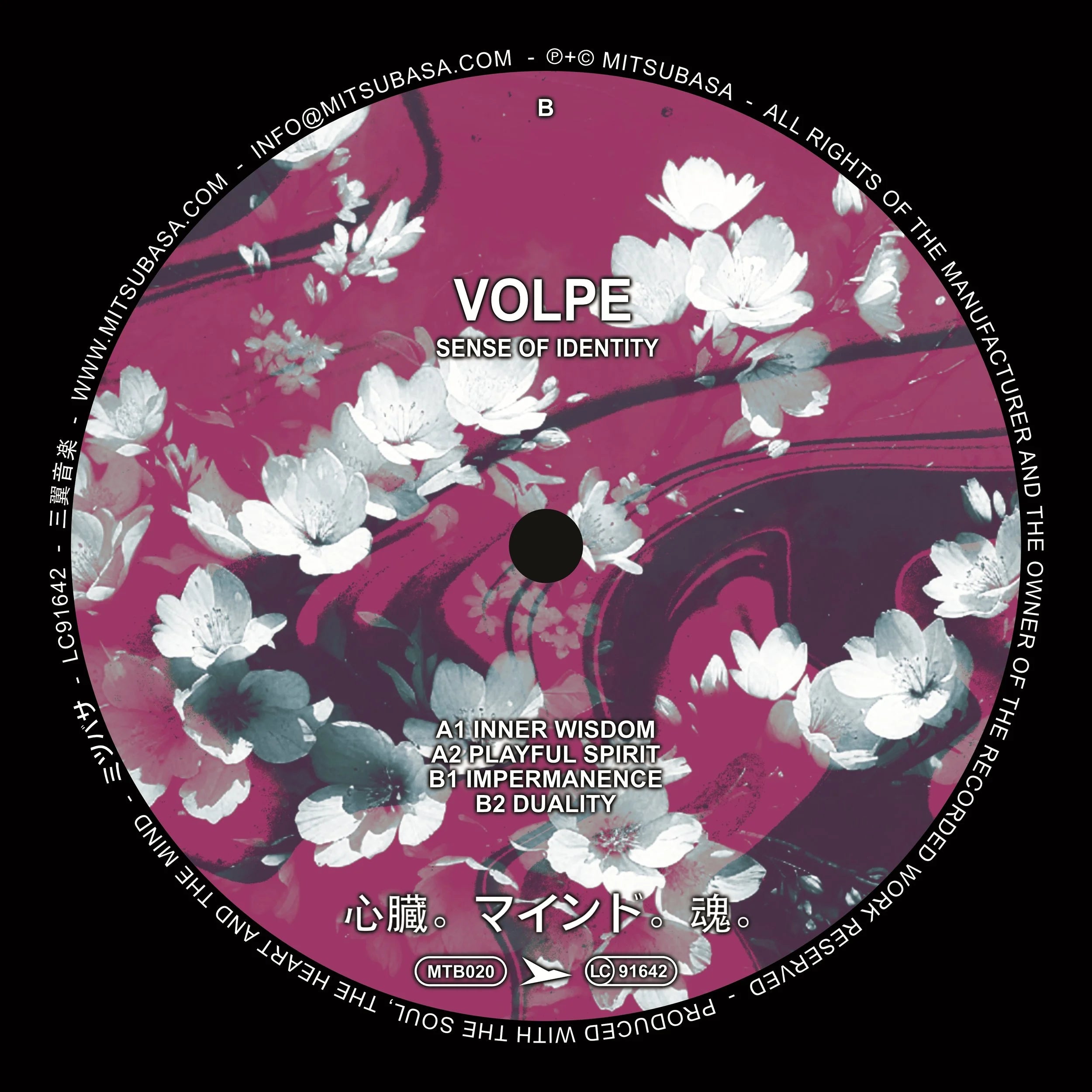 Volpe - Sense Of Identity