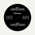 Acoustic Vision - PRZ13thirteen